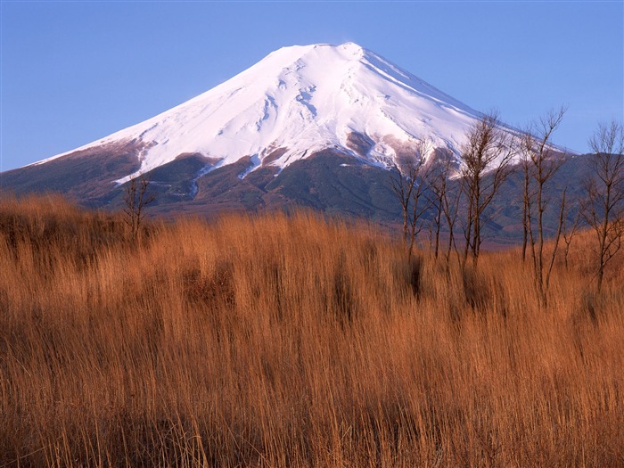 Гора Фудзи, Япония обои (1) #8