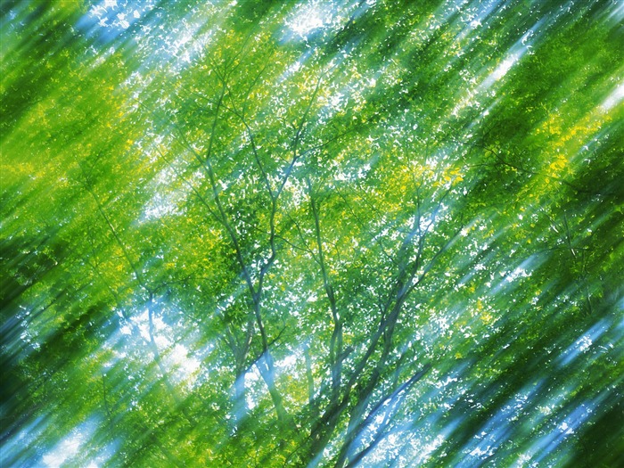 Green leaf photo wallpaper (5) #5