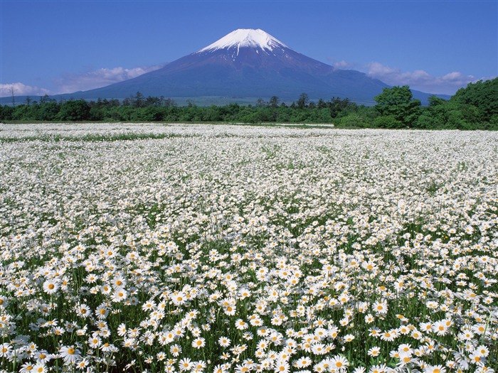 Гора Фудзи, Япония обои (2) #15