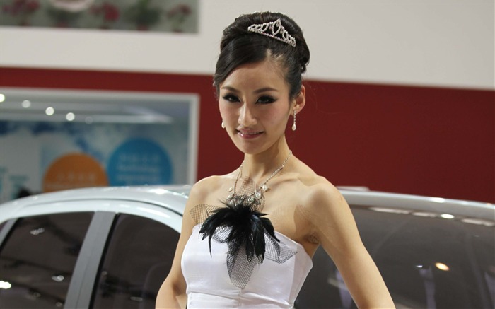 2010 Beijing International Auto Show de beauté (1) (le vent chasse les nuages de travaux) #9