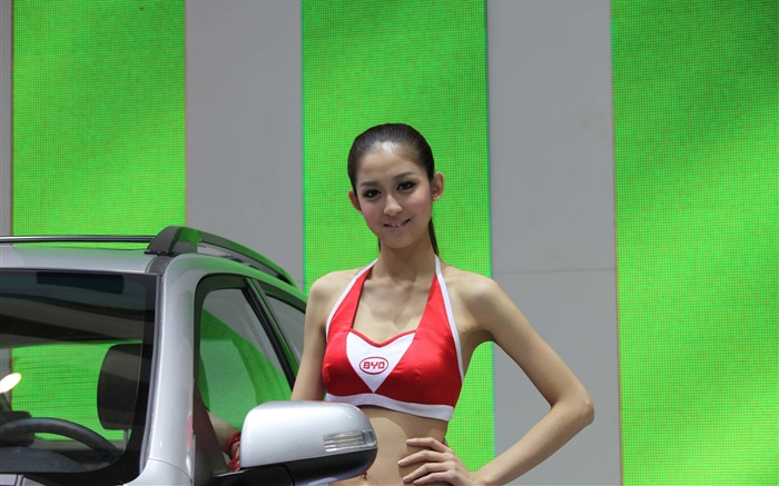2010 Пекинском международном автосалоне красоты (1) (ветер в погоне за облака работ) #10