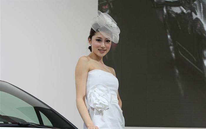 2010 v Pekingu Mezinárodním autosalonu krása (2) (vítr honí mraky práce) #31