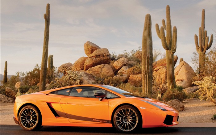 Cool автомобили Lamborghini обои (2) #10