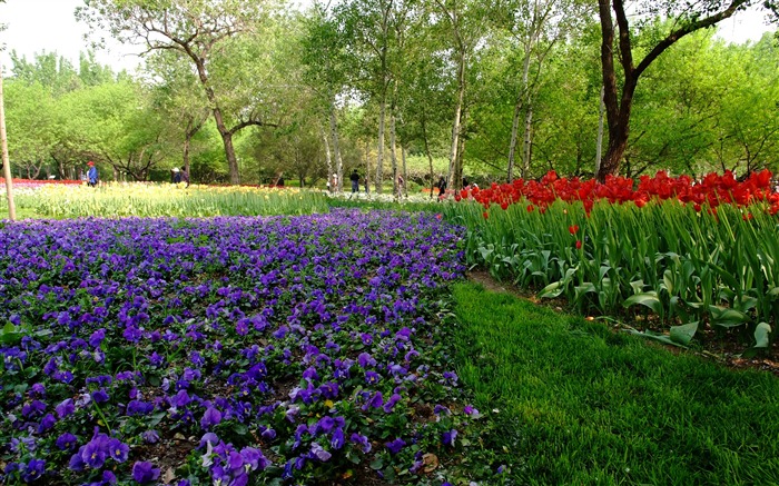 Xiangshan early summer garden (rebar works) #3