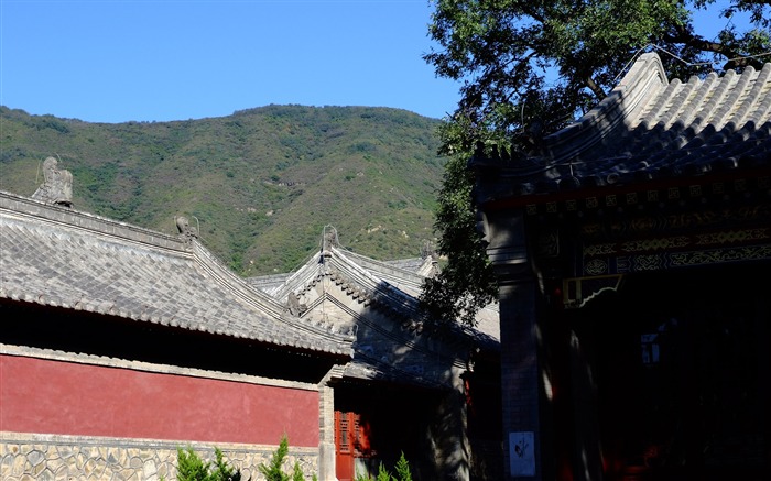 Благотворительный Храм Jingxi памятников (арматурных работ) #7