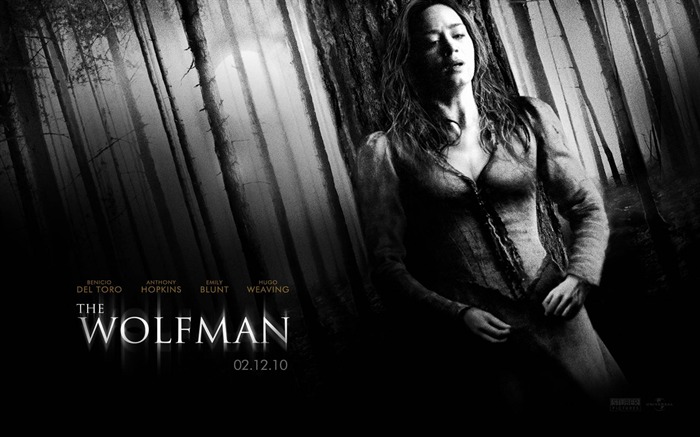 Les fonds d'écran du film Wolfman #10