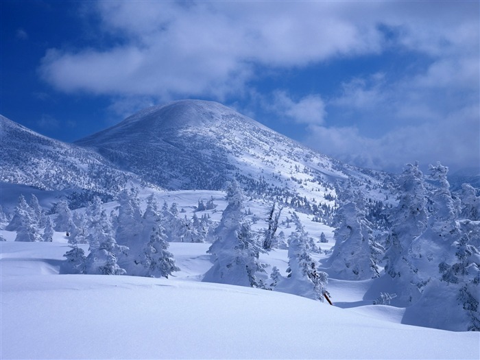 Sníh na horských tapety (2) #18