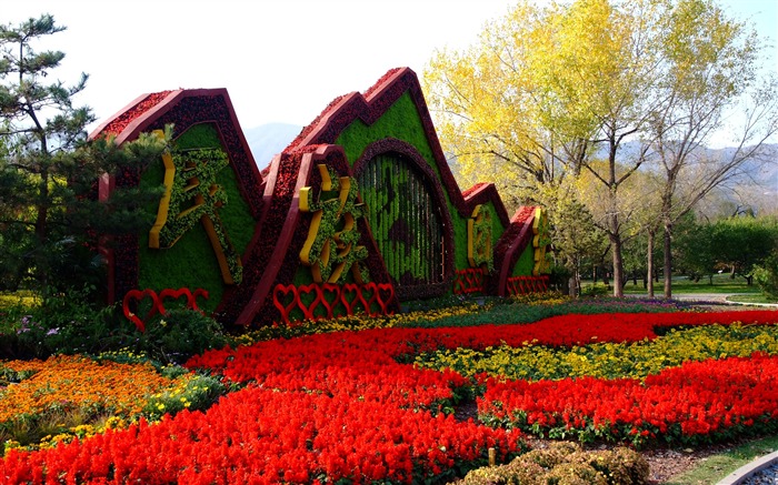 Xiangshan осенний сад (арматурных работ) #1