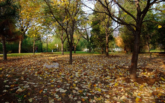 Xiangshan podzimní zahrada (prutu práce) #3