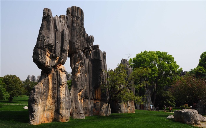 Каменный лес в провинции Юньнань линии (1) (работ киданей волка) #2