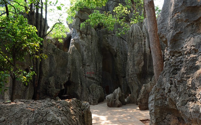Каменный лес в провинции Юньнань линии (1) (работ киданей волка) #6