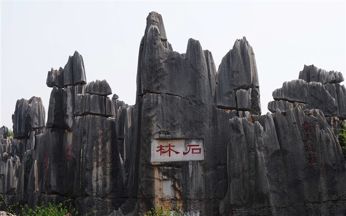 Каменный лес в провинции Юньнань линии (1) (работ киданей волка) #7