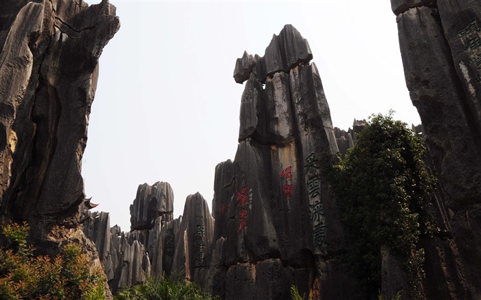 Каменный лес в провинции Юньнань линии (1) (работ киданей волка) #14