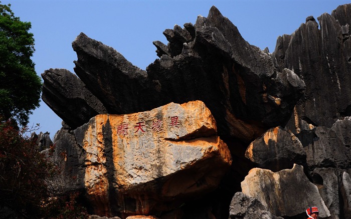 Каменный лес в провинции Юньнань линии (1) (работ киданей волка) #15