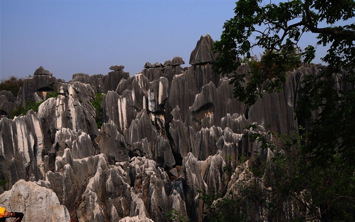 Каменный лес в провинции Юньнань линии (1) (работ киданей волка) #20