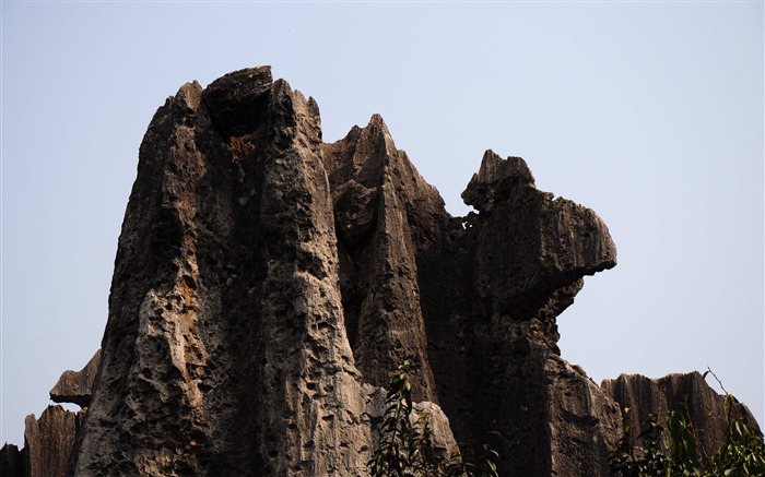 Каменный лес в провинции Юньнань линии (2) (работ киданей волка) #3
