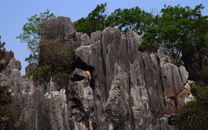 Каменный лес в провинции Юньнань линии (2) (работ киданей волка) #4
