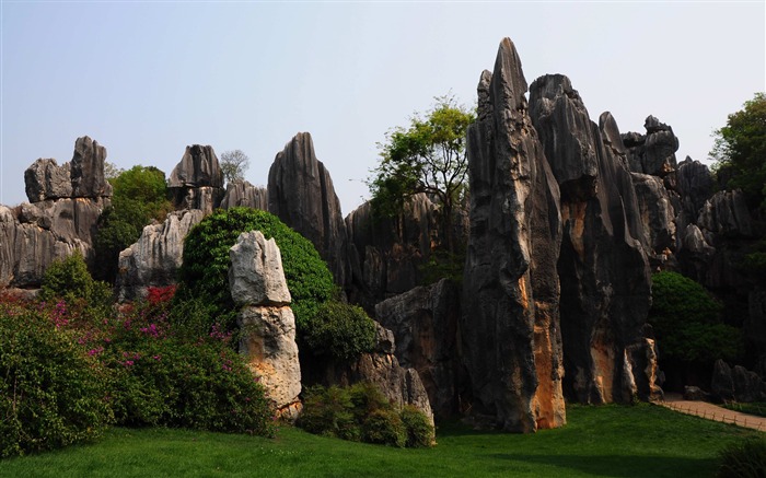 Каменный лес в провинции Юньнань линии (2) (работ киданей волка) #13