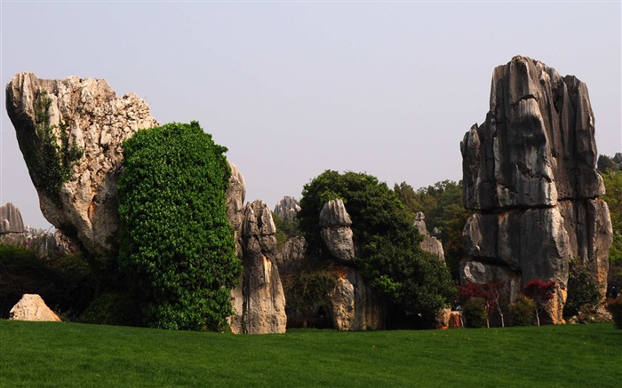 Каменный лес в провинции Юньнань линии (2) (работ киданей волка) #14