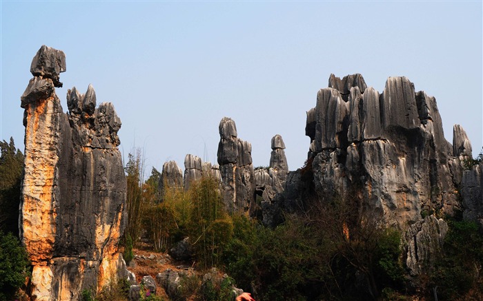 Каменный лес в провинции Юньнань линии (2) (работ киданей волка) #24