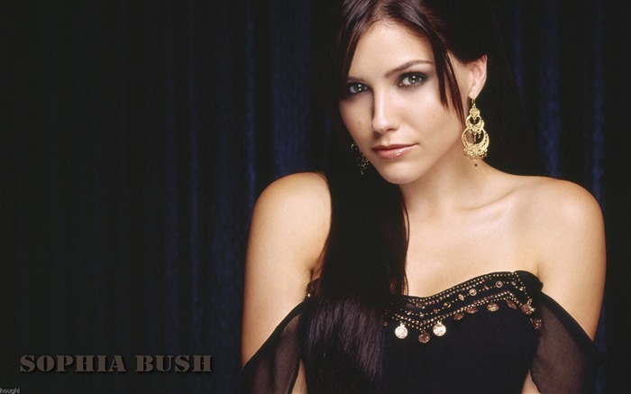 Sophia Bush hermoso fondo de pantalla #2