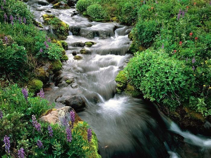 Waterfall streams wallpaper (3) #14