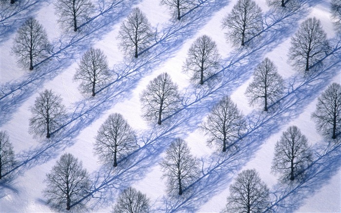 Snow Widescreen-Wallpaper (2) #17