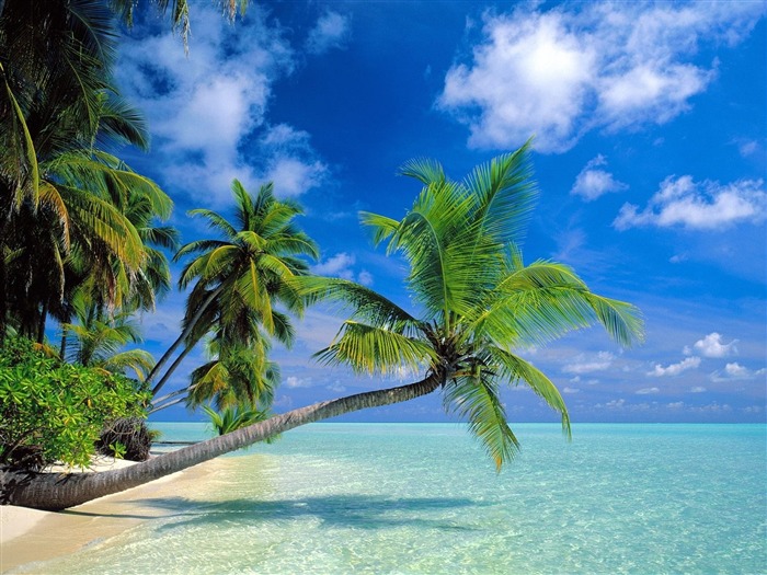 Beach scenery wallpapers (6) #2