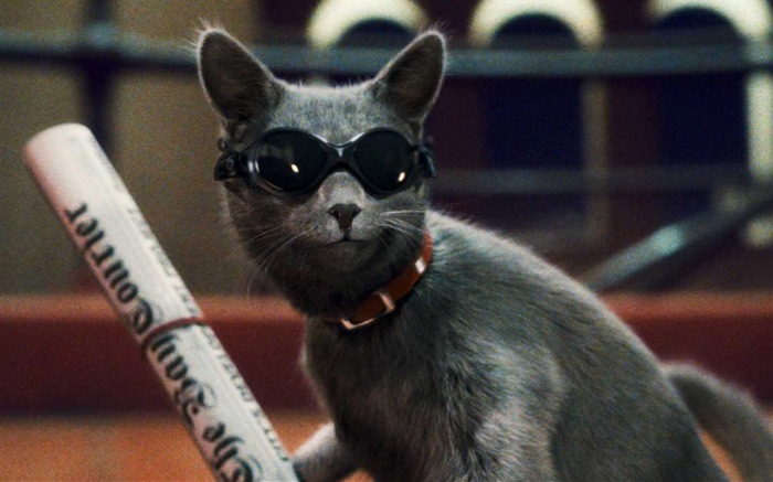 貓狗大戰2：貓怪的複仇 壁紙專輯 #17
