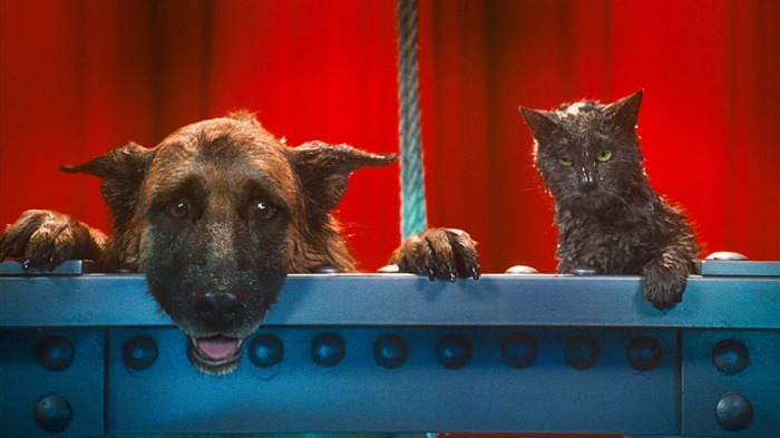 Кошки и собаки: Месть Китти Галор HD обои #17