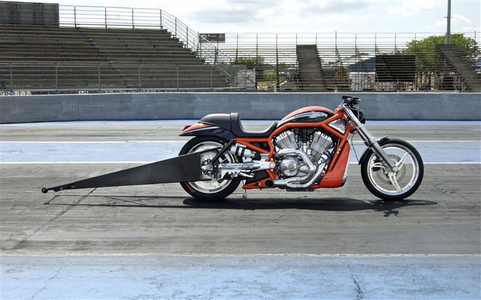 Harley-Davidson Обои Альбом (2) #13