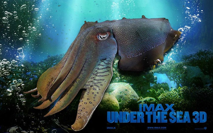 Under the Sea 3D 海底世界3D 高清壁紙 #47