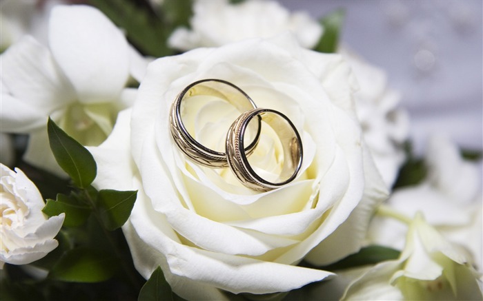 Свадьбы и свадебные кольца обои (1) #3