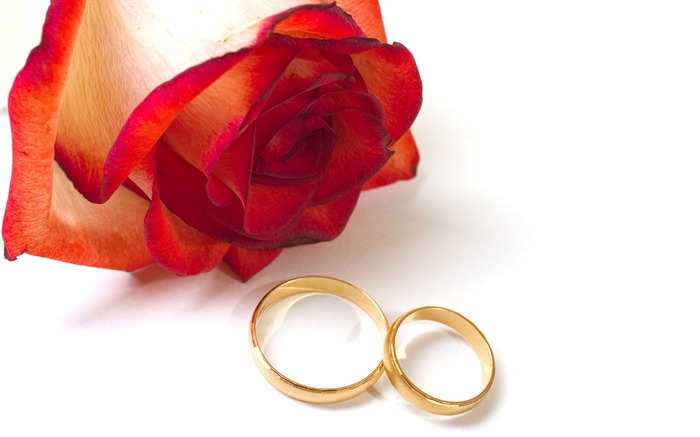 Свадьбы и свадебные кольца обои (2) #6