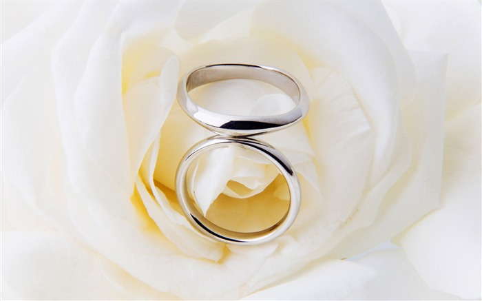 Свадьбы и свадебные кольца обои (2) #18