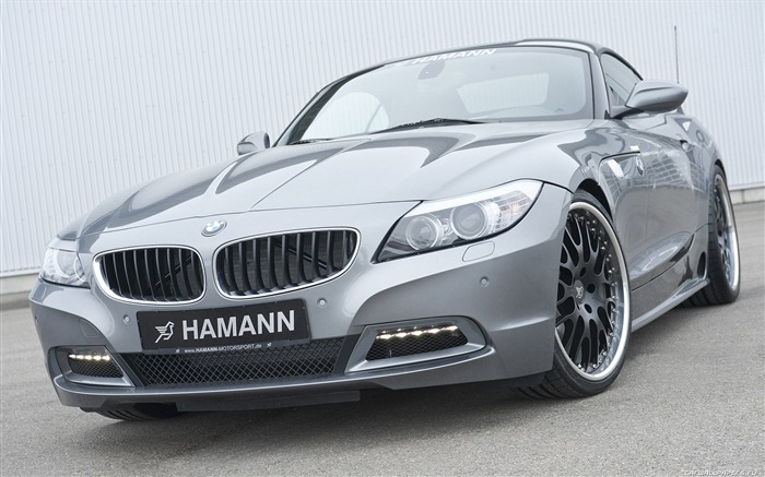 Hamann BMW Z4 E89 - 2010 HD обои #8