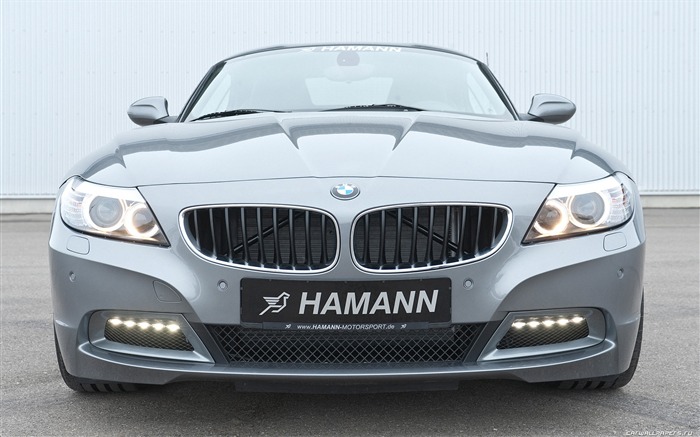 Hamann BMW Z4 E89 - 2010 HD tapetu #15