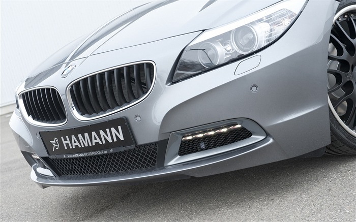 Hamann BMW Z4 E89 - 2010 fondos de escritorio de alta definición #16