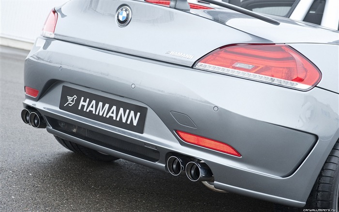 Hamann BMW Z4 E89 - 2010 fonds d'écran HD #20