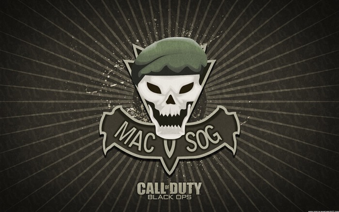Call Of Duty: Black Ops HD обои (2) #20