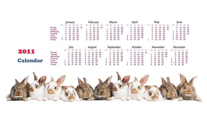 Год Кролика 2011 календарь обои (1) #15