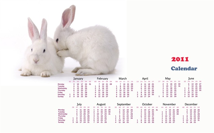 Год Кролика 2011 календарь обои (1) #17