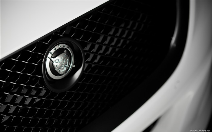 Jaguar XJ75 Platinum Концепции - 2010 HD обои #3