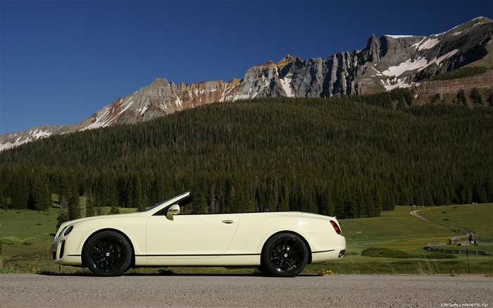 Bentley Continental Supersports Convertible - 2010 HD обои #15