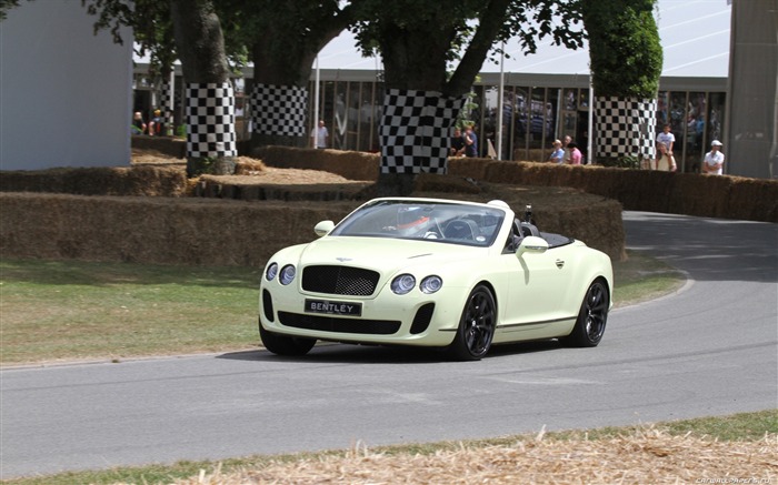 Bentley Continental Supersports Convertible - 2010 HD обои #22