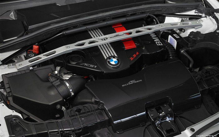 AC Schnitzer BMW X1 - 2010 fondos de escritorio de alta definición #9
