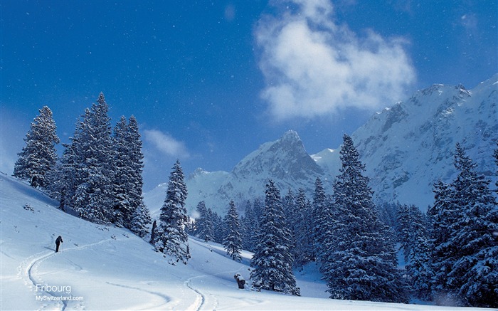 Швейцарский обои снега зимой #9