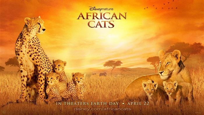 African Cats: Kingdom of Courage Tapeten #3