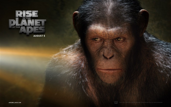 Rise of Planet of the Apes tapet #1
