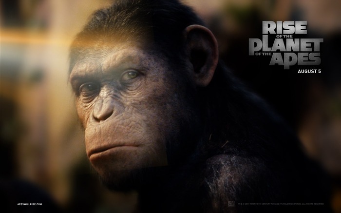 Rise of the Planet of the Apes 猿族崛起壁紙專輯 #2